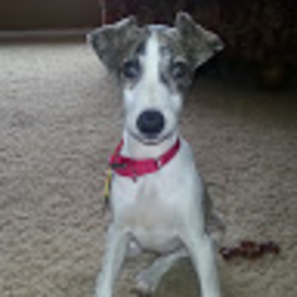 Meet your Posher, Allyson - Picture 1 of 1